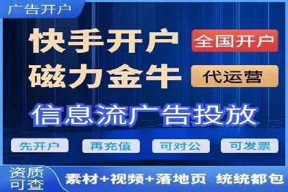 SEM代运营案例分析：精准投放策略解析